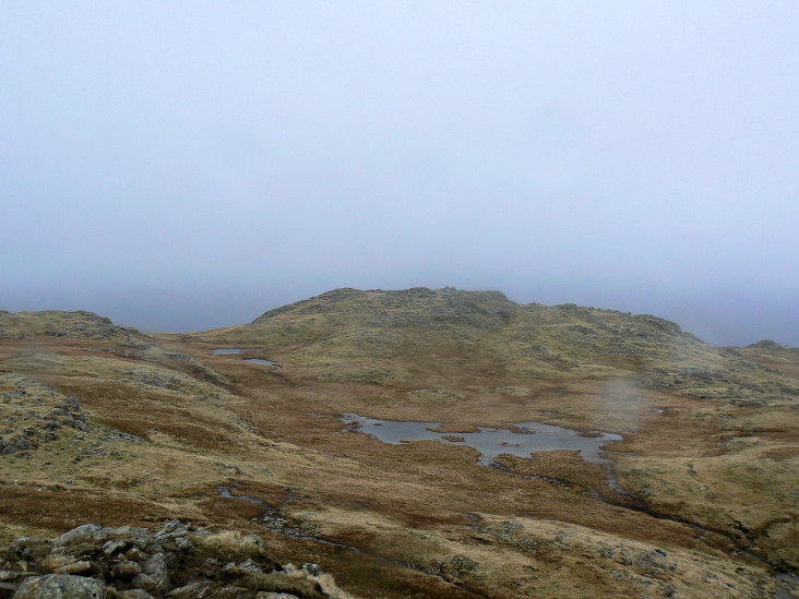 Codale Head Codale Head